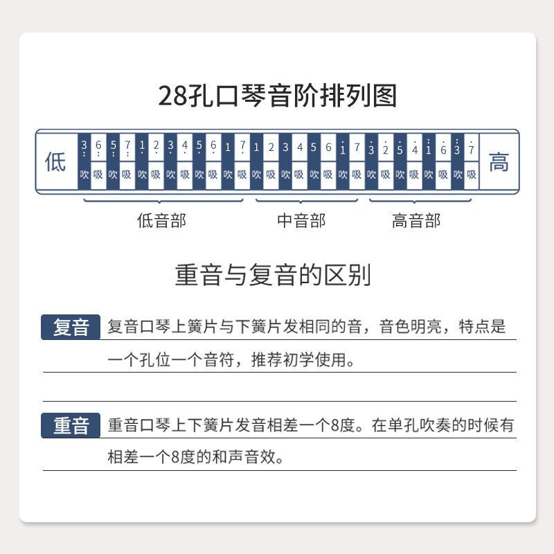 德国进口音簧28孔4口琴天鹅c调复重音男士正品成人专业演奏级高端