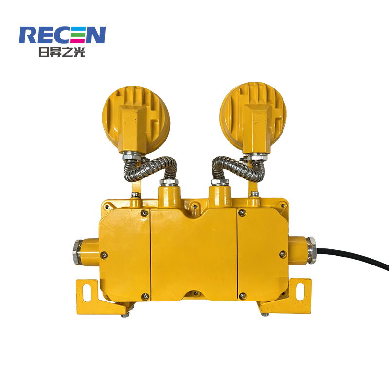 日昇之光(RECEN)RC-ZM-ACJ-RFBJ01 消防应急照明灯具 防护等级IP66 (计价单位:个)黄色高清大图