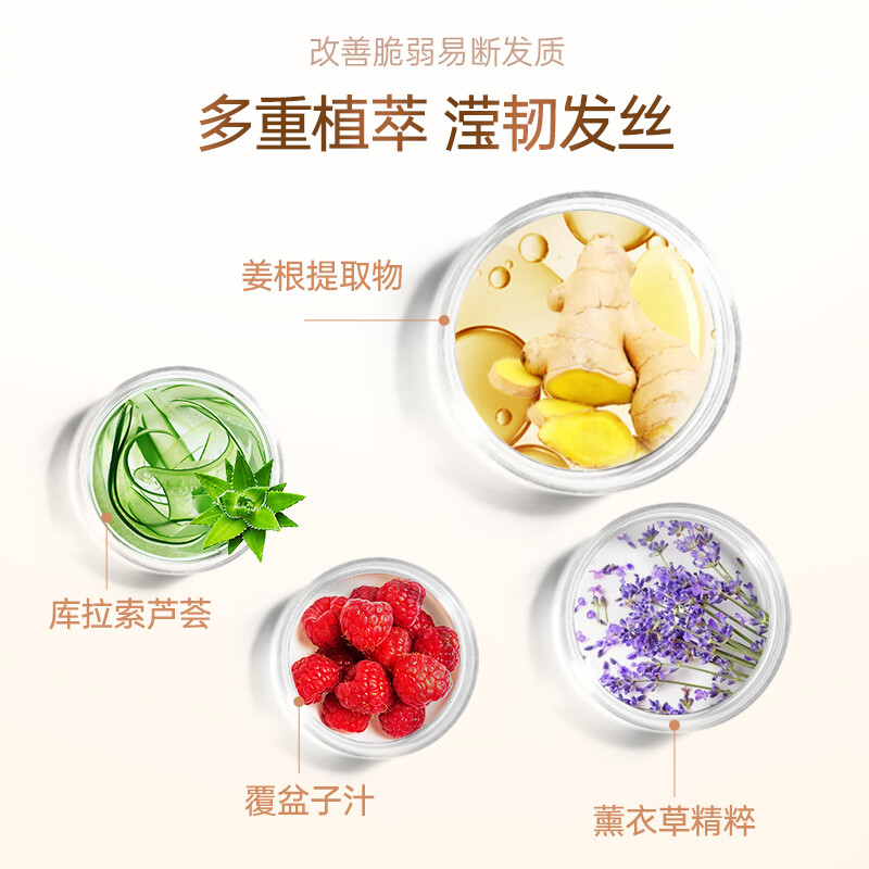 滋源生姜强根健发护发素535ml(单位:瓶)香槟黄高清大图