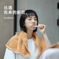 三利抗菌毛巾 纯棉柔软洗脸巾家用吸水不掉毛男女加厚面巾高毛圈匹马棉大毛巾