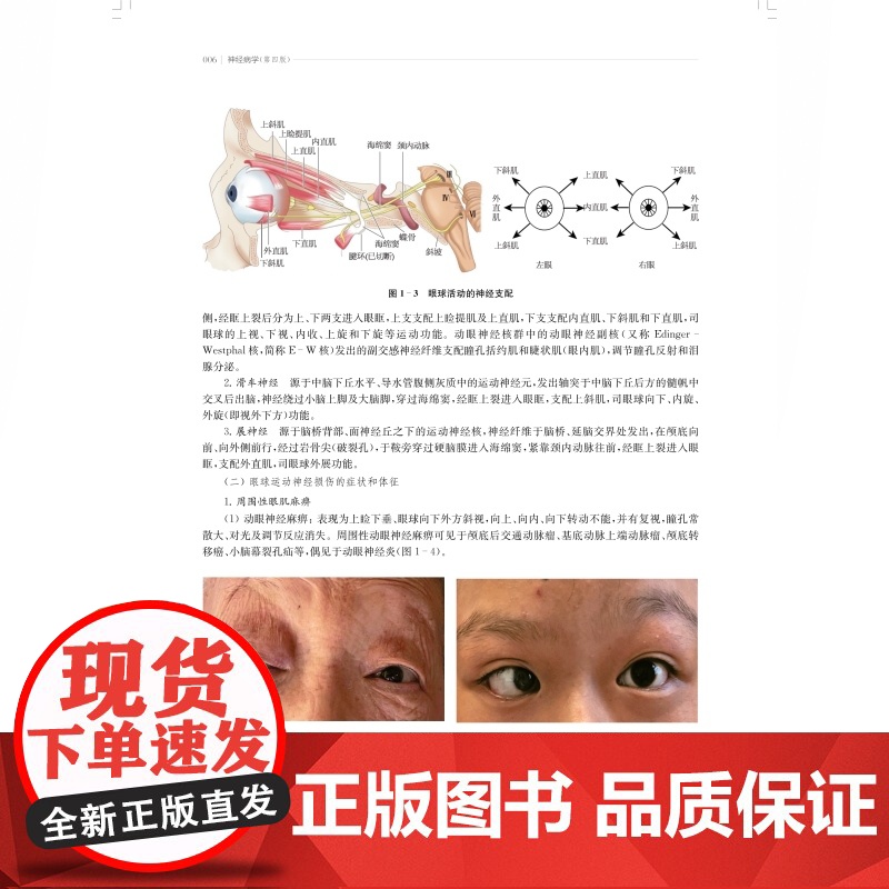 神经病学第四版 汪昕董强主编全国高等医药院校入门书籍神经系统全面介绍和解析上海科学技术出版社高清大图