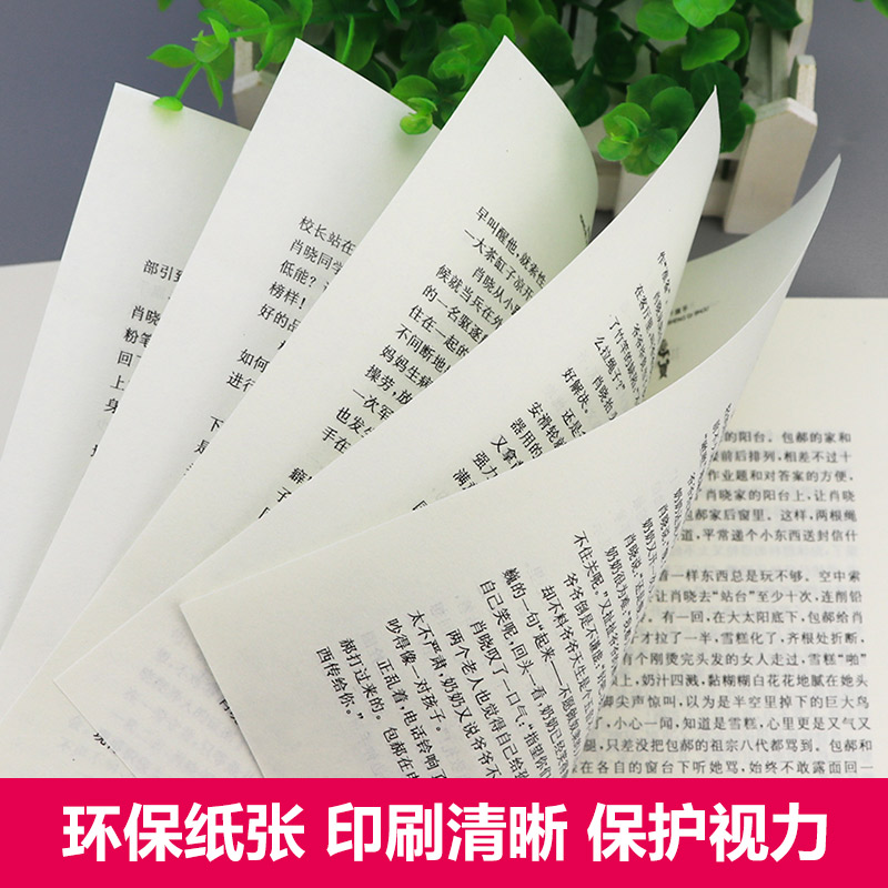 [醉染正版]今天我是升旗手正版书黄蓓佳著小学生课外阅读书籍三四五六年级7-9-10-12-14-15周岁儿童读物少儿老师高清大图