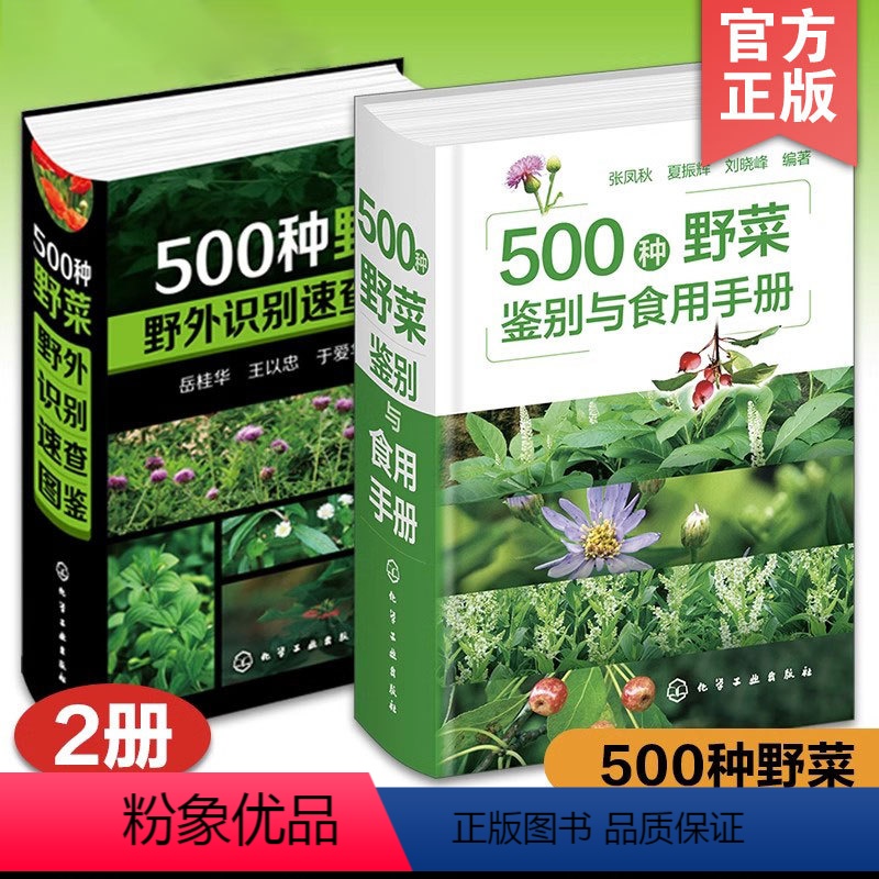【正版】2册 500种野菜鉴别与食用手册 500种野菜野外识别速查图鉴 野菜野外植物鉴别图鉴手册 野菜识别食用方法高清