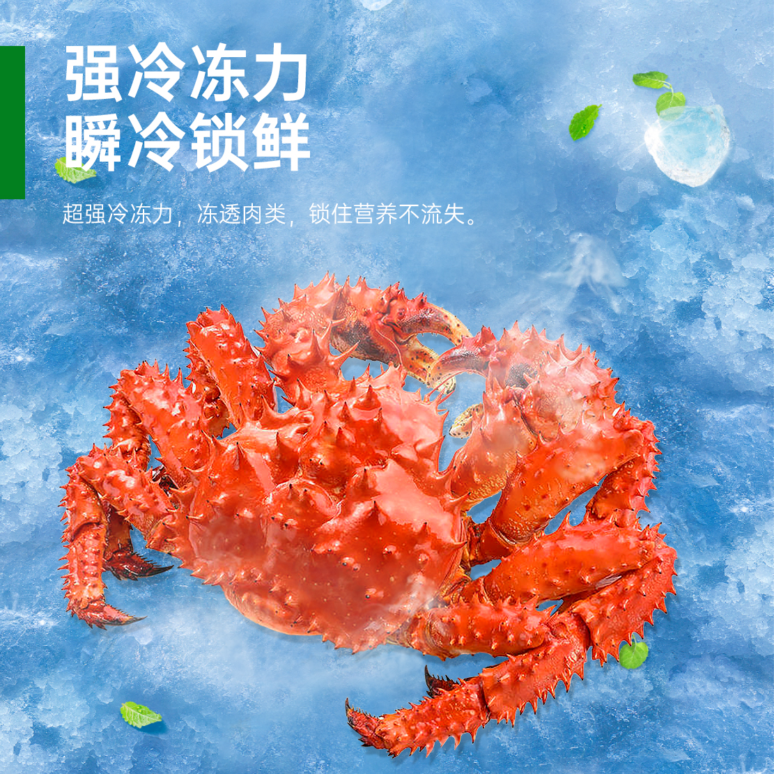 意黛斯YIDAISI 速冻低温卧室冷柜商用零下50度急冻柜生胚海鲜饺子机包子机风冷速冻机 YDSDW-60W338速冻柜高清大图