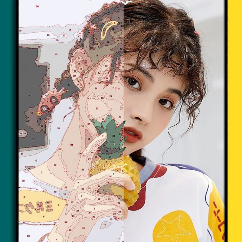 维诺亚私人定制图片DIY数字油画手绘填色风景动漫人物名画装饰油彩画高清大图