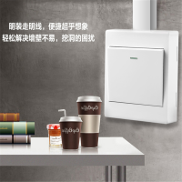 明装开关10A 10个装