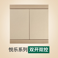 雷士照明NVC 86型带开关插座家用墙壁面板 二三插五孔墙壁电源插座开关电视电话网线插座面板香槟金