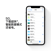 Apple苹果 iPhone12 6.1英寸 128G内存 黑色 移动联通电信5G全网通手机 海外版 双卡双待