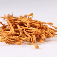 富昌蛹虫草100g 罐装 北虫草 食用菌菇 干货山珍 孢子头 虫草花 煲烫 滋补食材