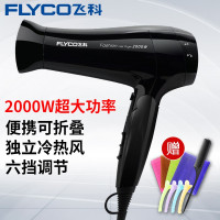 飞科 FH6231 电吹风机