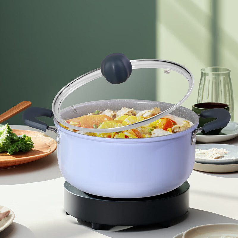 炊大皇(COOKER KING)JZ22TG锅具 汤锅 平底锅 22cm高清大图