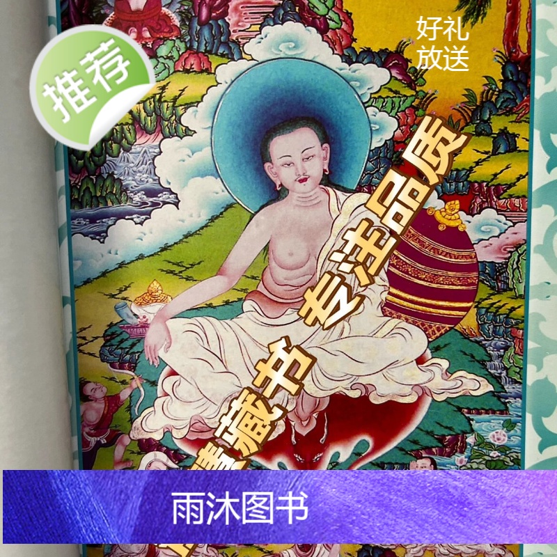 直指法身 第九世大宝法王旺秋多杰著 创古仁波切教授 简体横排高清大图