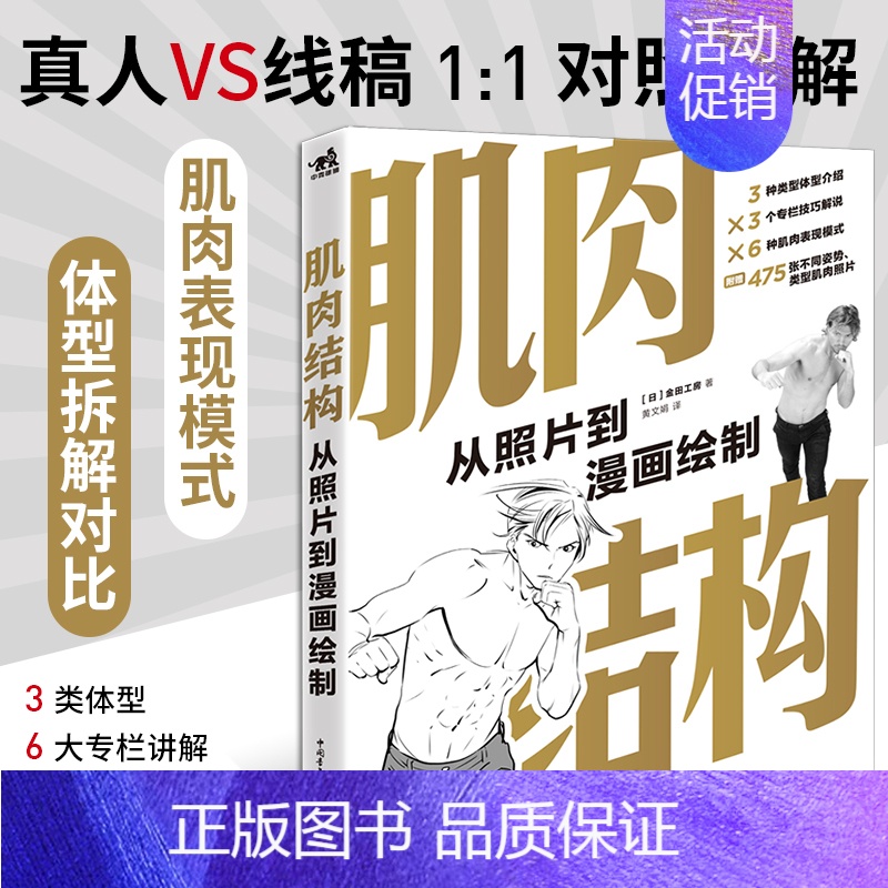 【正版】肌肉结构(从照片到漫画绘制)