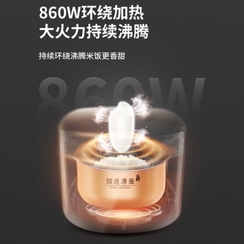 九阳(Joyoung)电饭煲 F40FZ-F531(B) 4L高清大图
