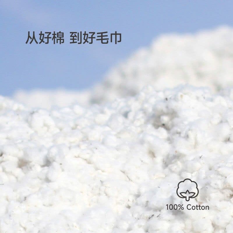最生活a-life超柔加厚亲肤浴巾大号吸水快干抗菌防螨家居用品图片