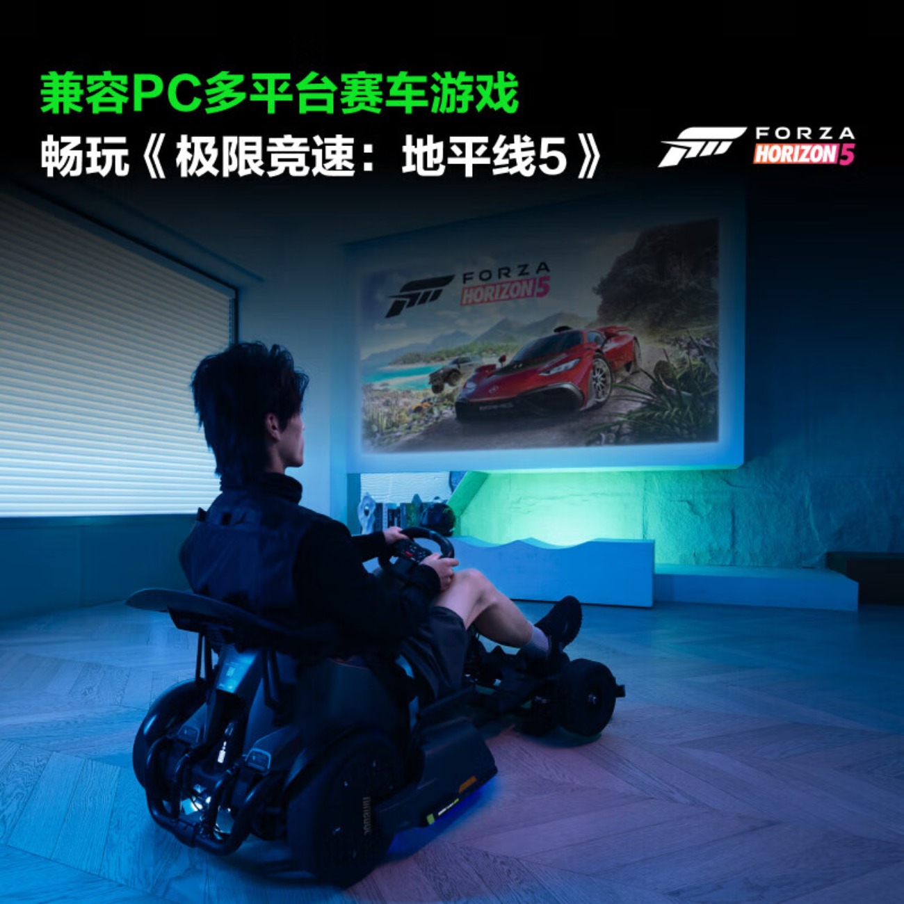 九号(Ninebot)成人电动平衡车卡 丁车Pro2高清大图