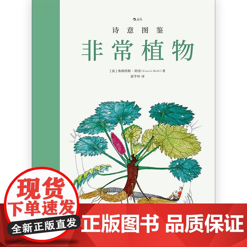 诗意图鉴非常植物 弗朗西斯?阿雷FrancisHallé北京联合出版公司高清大图