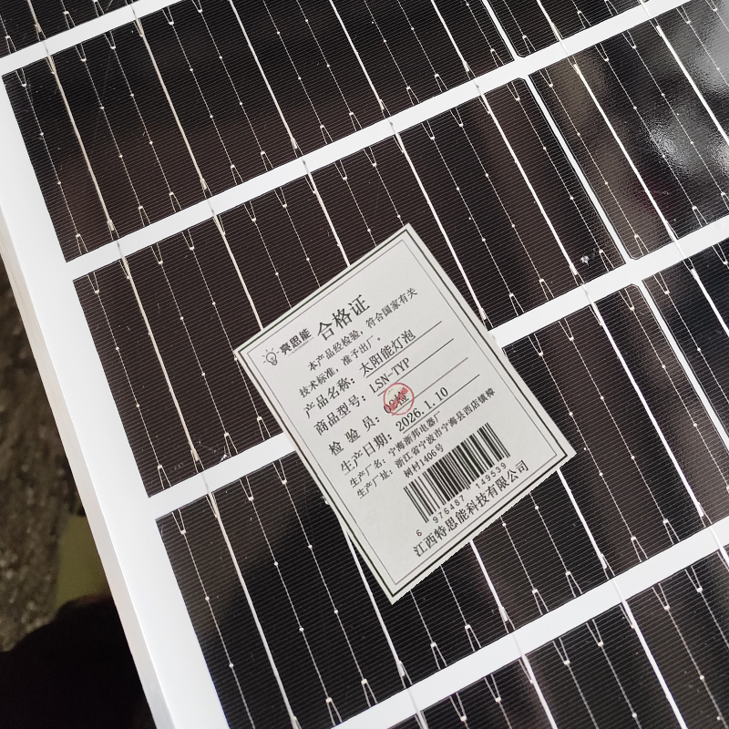 亮思能 太阳能灯泡照明灯一拖二200W LSN-TYP 个高清大图