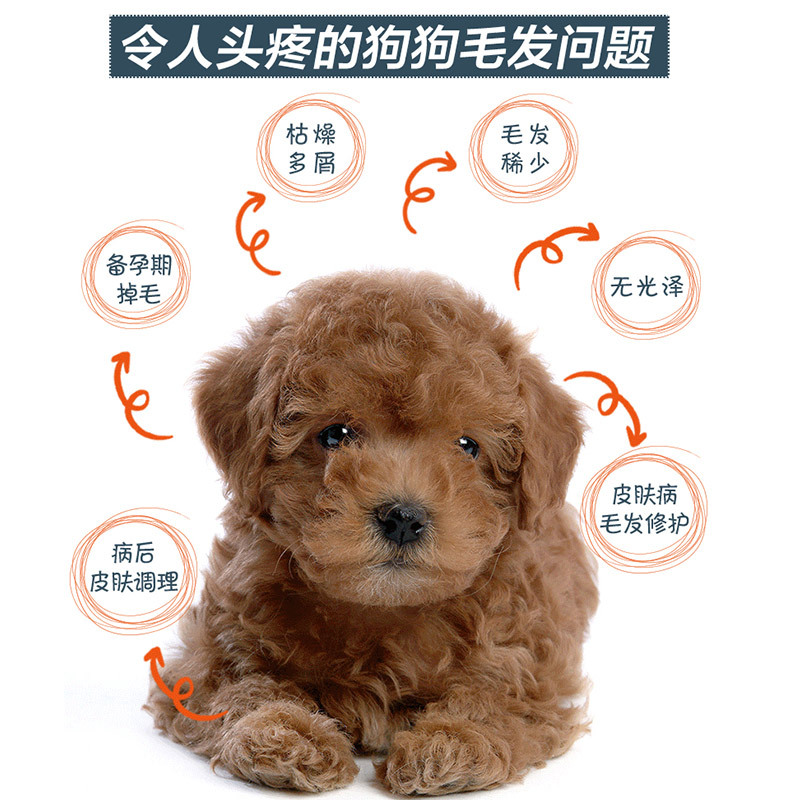 蛋卵磷脂金毛泰迪比熊狗狗专用美毛粉毛防脱毛鱼油软磷脂高清大图