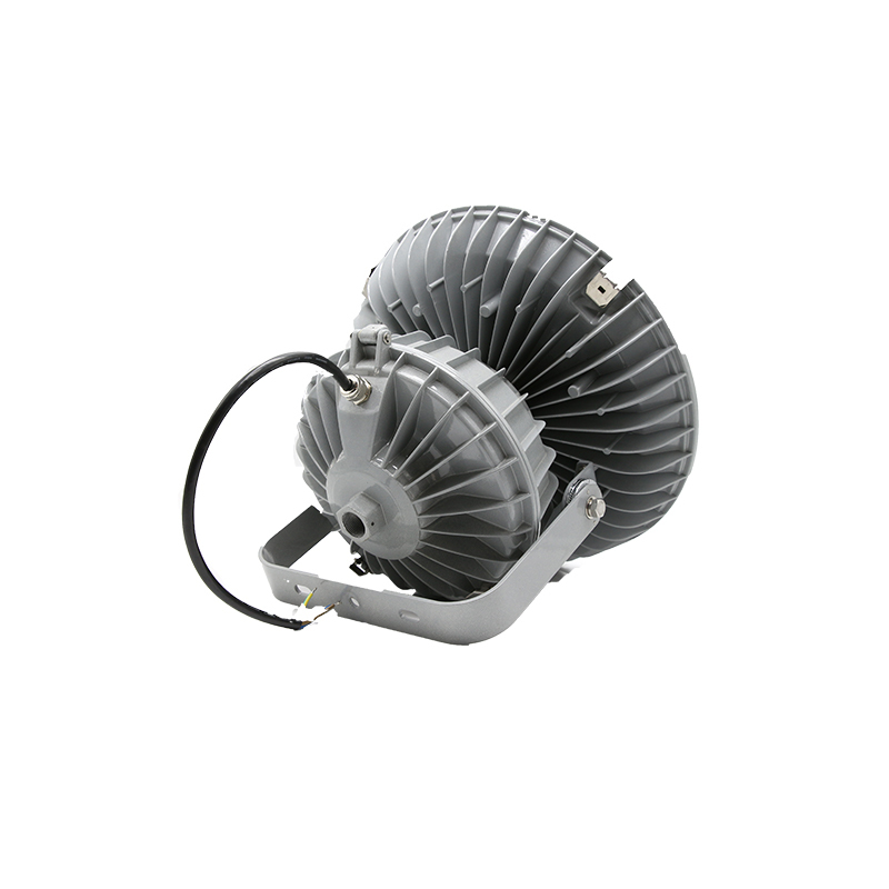 赛时工控(SHSSGK) SKSZD8-4207 大功率LED投光灯 (单位:个) 灰