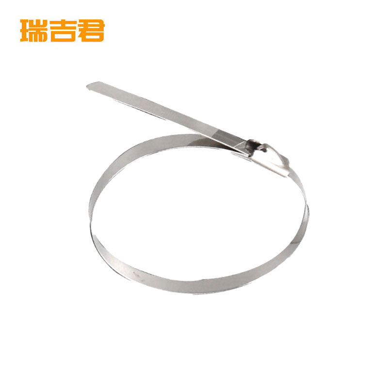 瑞吉君 304不锈钢扎带 12*800mm 50支 包高清大图