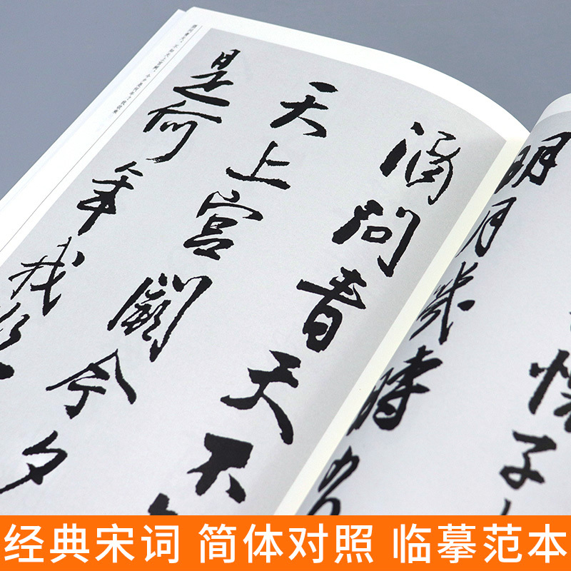 [正版]大尺寸8开王铎集字宋词行书 中国历代书法名家作品集字古诗词江锦世编 简体对照楷行草临帖毛笔书法字帖王铎书法全集人
