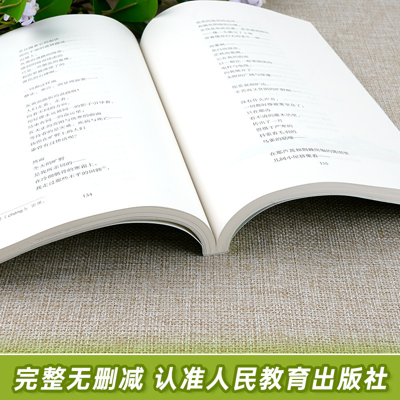 艾青诗选 人教版 [正版]艾青诗选原著诗集九年级上册必读名著人民教育出版社完整版初中生人教版七年级课外书阅读文学诗歌初中
