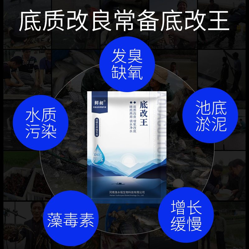 改底王水产养殖鱼塘改底虾蟹塘底改分解黑臭淤泥增氧片调水净水王高清大图