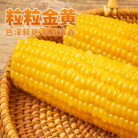 玉米巨沃东北黄糯玉米[10袋*210g]