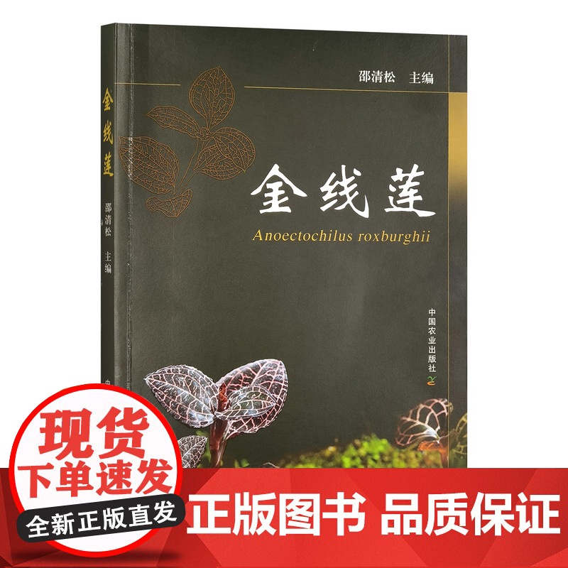 正版 金线莲 320536 邵清松 2024.06高清大图