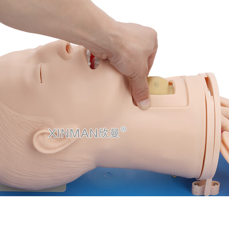 欣曼科教 高级气道管理模拟人 气管插管操作训练模型 卫勤训练模拟器材XM-QD12高清大图