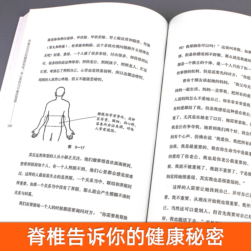 [正版]脊椎告诉你的健康秘密 身心柔软与平衡的智慧 修订本 肖然 身心全息疗法创始人 健康读本健康生活指南用书 健康百科高清大图