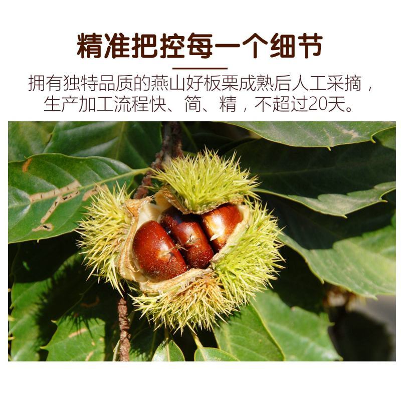 满300减210[三只松鼠 甘栗仁100g]休闲零食坚果特产板栗仁栗子仁