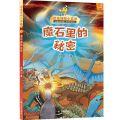 恐龙侦探小奇奥(2魔石里的秘密)