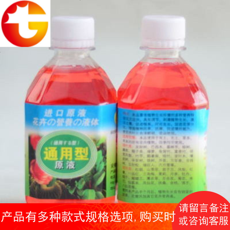 碗莲种子睡莲铜钱草水培植物观叶专用茉莉花绿巨人营养液花鱼养
