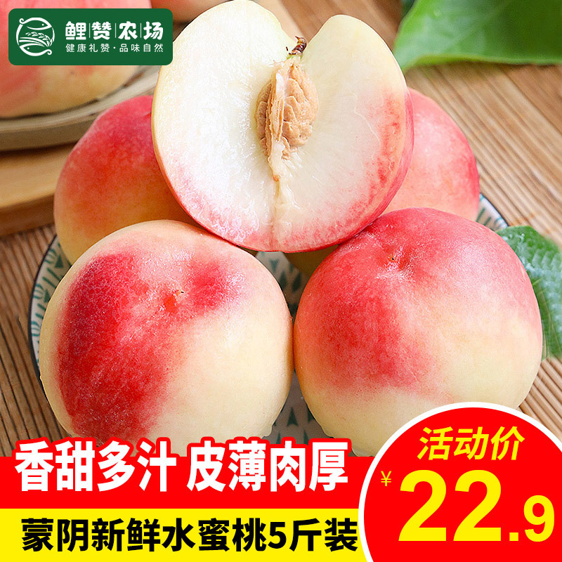 星优选桃李类 店长力荐 山东水蜜桃净重4 5斤装单果150g起时令新鲜水果毛桃桃子水蜜桃香甜美味星优选 价格图片品牌报价 苏宁易购星优选旗舰店