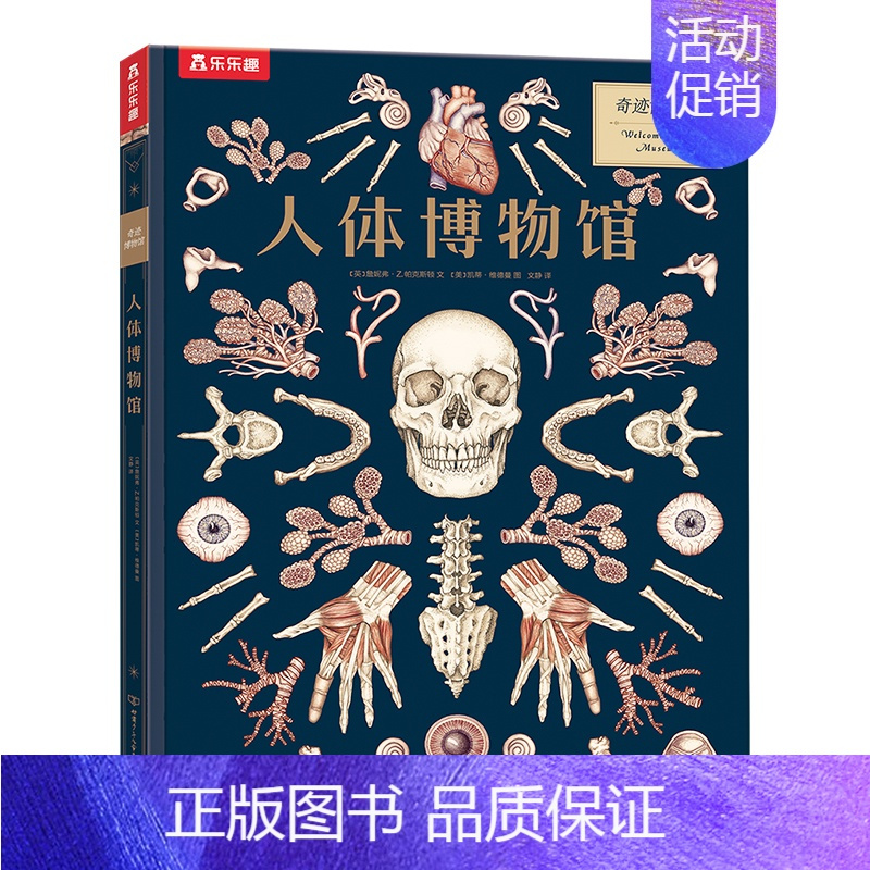 奇迹博物馆 人体博物馆 [正版] 奇迹博物馆系列4册套装 3-8岁儿童科普百科 恐龙+人体+太空+菌菇 揭秘恐龙的秘