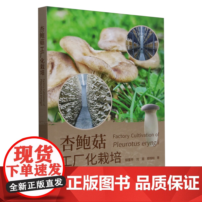 杏鲍菇工厂化栽培 9787109327818 郑雪平 刘遐 郑烜如 编 中国农业出版社高清大图