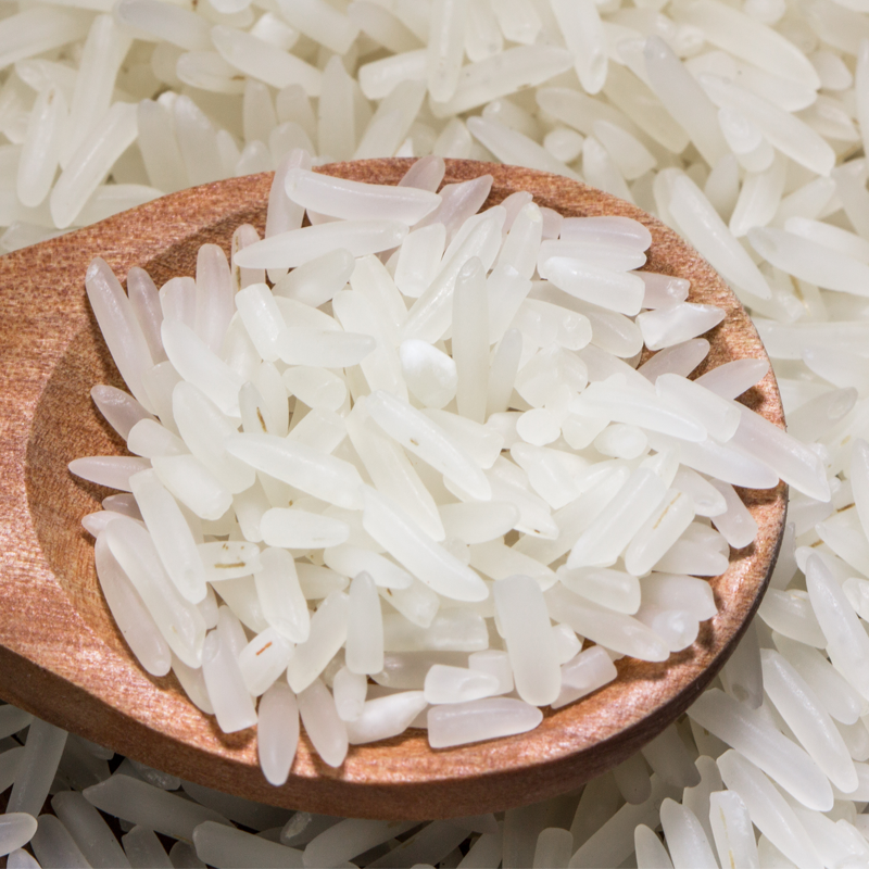 广西上林金丝苗米10斤 油粘米煲仔饭专用南方丝苗软香当季新米