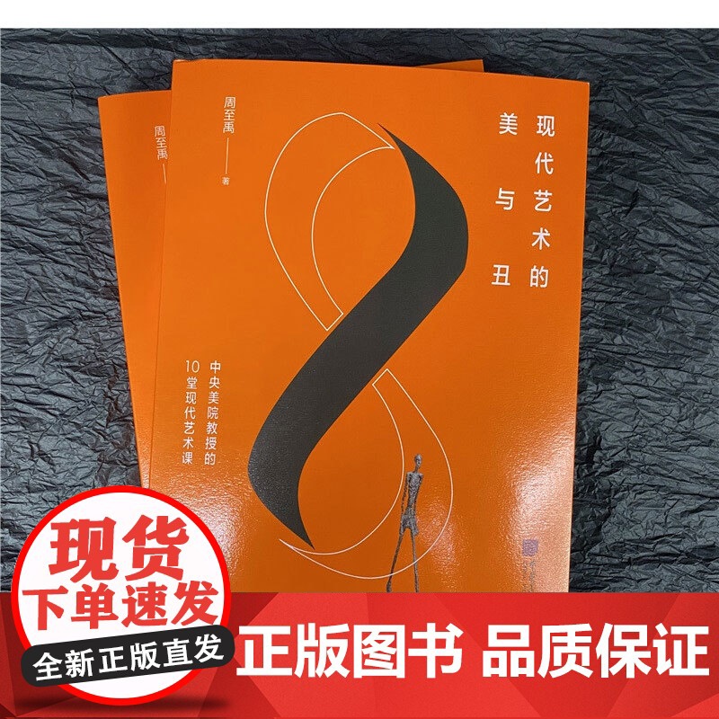 现代艺术的美与丑 中央美院教授的10堂现代艺术课 周至禹 著 艺术高清大图