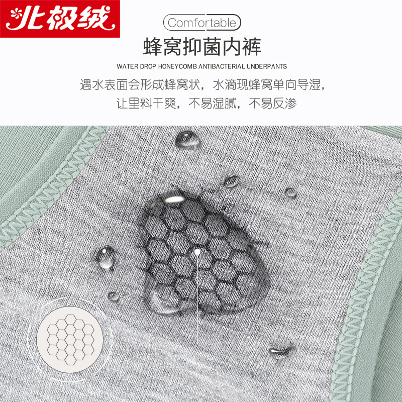 北极绒女士内裤中腰棉mm透气棉裆中三角短裤头
