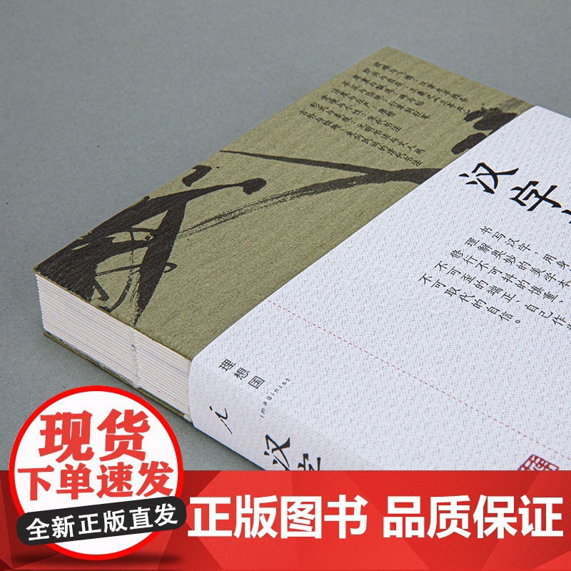 汉字书法之美 汉字书法 为什么是美的 写给每个中国人的书法美学 蒋勋写给你的极简书法史 经典全新修高清大图