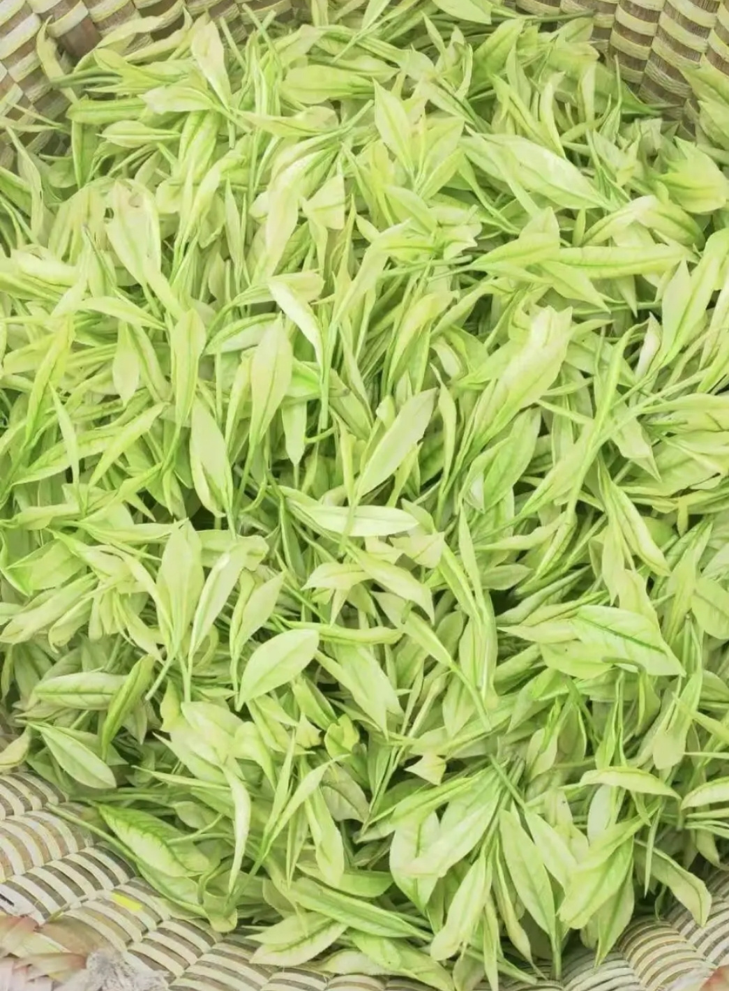 飞宏野屯白玉石茶250克/盒高清大图