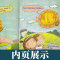 六年级 上册(第1季) 小学通用 [正版] 跟上兔子小学英语分级绘本三年级第一季四年级第二季1/2五年级六年级上册下册数