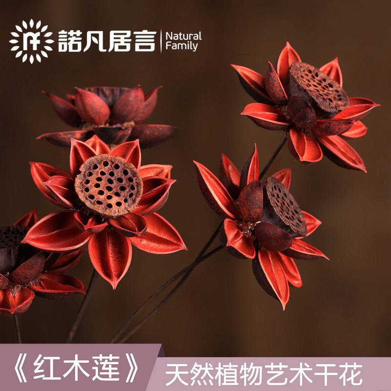 优百思 Youbaisi 紫砂花盆木莲花干莲蓬荷花干花花束假花仿真花客厅酒店落地花瓶摆件装饰品 价格图片品牌报价 苏宁易购正顺陶瓷专营店