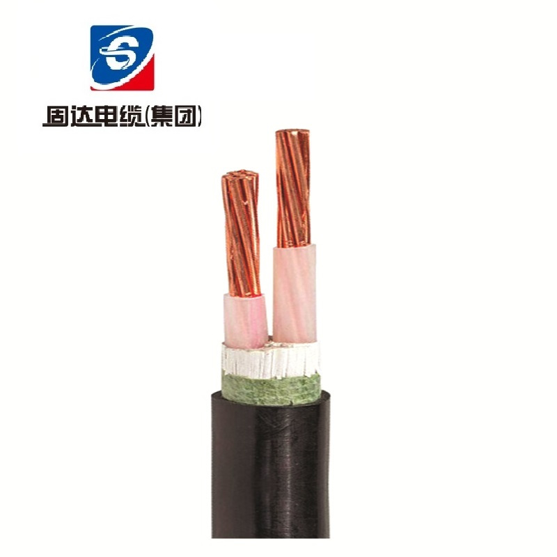 固达电缆 阻燃两芯低压电力电缆 ZR-YJV-2米