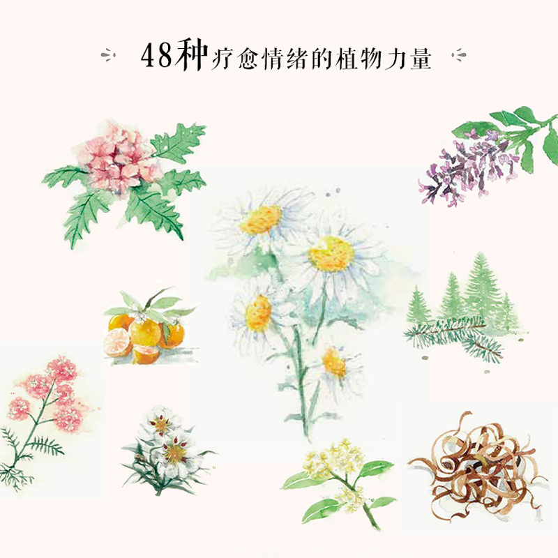 [正版]情绪芳疗 精油助你摆脱负能量 轻工业出版社高清大图