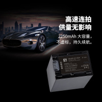 沣标FB-FV100A摄像机电池FV70FV90FH100索尼相机CX450 PJ610EAX60 VG30AX40
