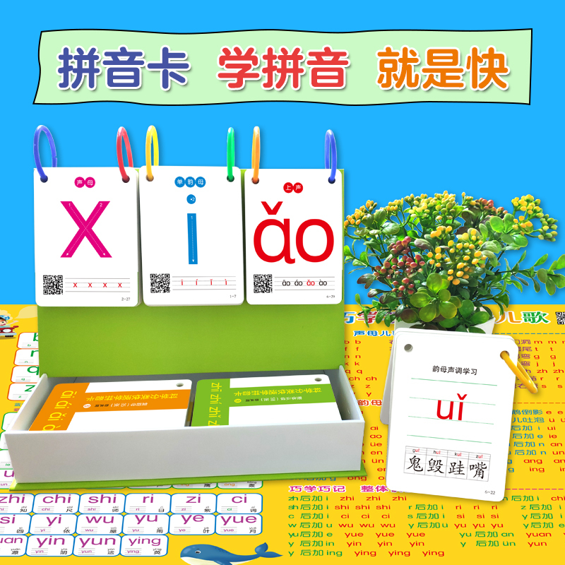 科学分类学拼音卡 [正版]BK科学分类学拼音卡