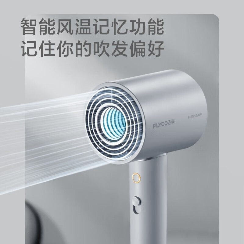 飞科-电吹风 FH6312高清大图